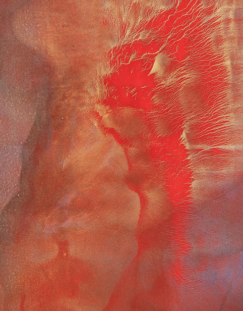 Hearts on Fire | Framed Giclee Print on Canvas